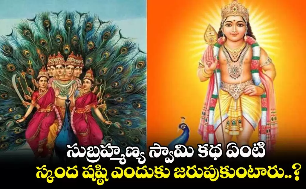 *సుబ్రహ్మణ్య షష్ఠి రోజు ఎవరైతే స్కందోత్పత్తి చదువుతారో వారి పిల్లలు ఆపదల నుంచి రక్షింపబడతారు!!!*  — సంస్కృతి