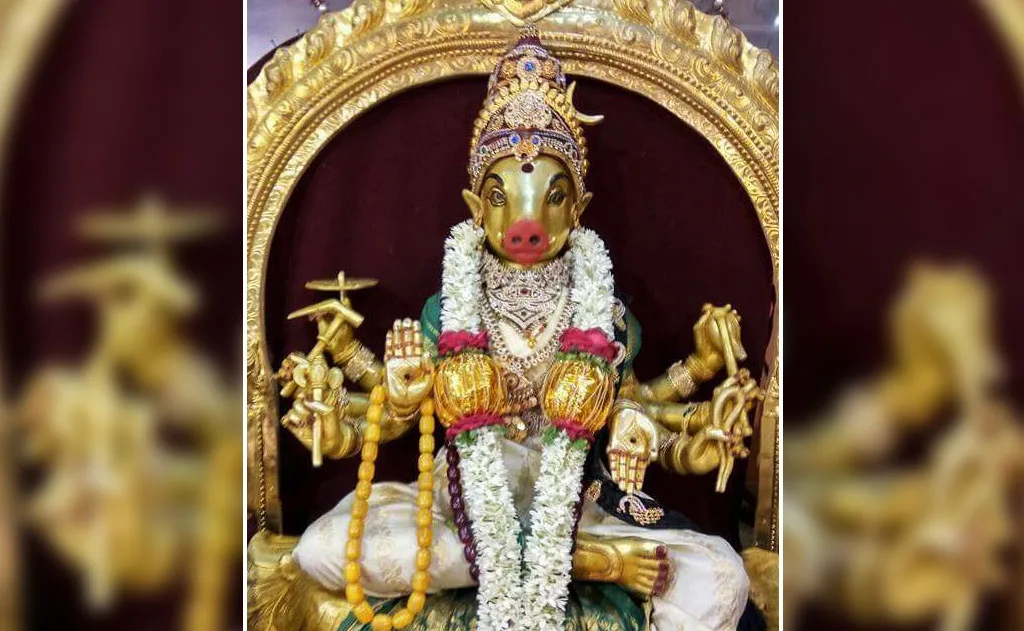 వారాహి నవరాత్రి అద్భుతం: వరాహ ముఖి దేవి దివ్య కృపతో ఆకస్మిక మరణం నుండి బయటపడిన భక్త సాధకుడు — ఆధ్యాత్మికత