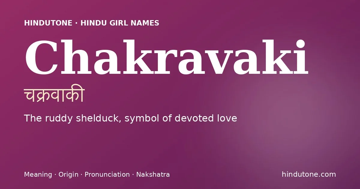చక్రవాకి